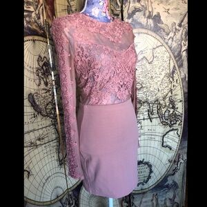 Windsor dusty rose crochet lace and mesh mini dress size M